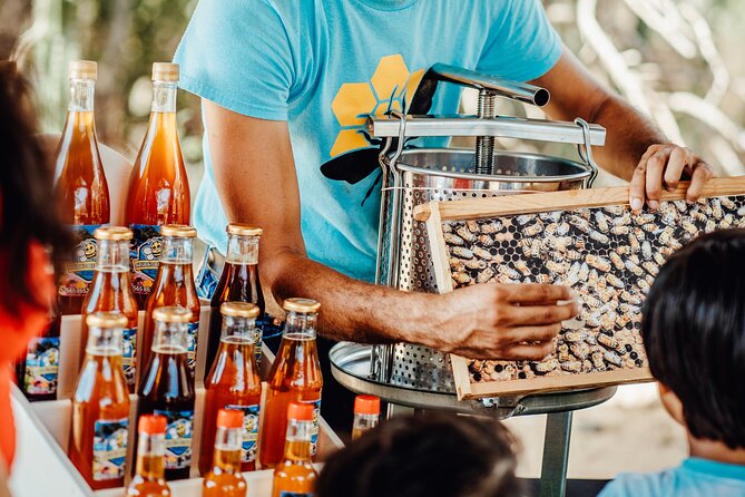 Aruba´s Bee Haven Private Adventure - The Cunucu tour and seeing the hive work up close