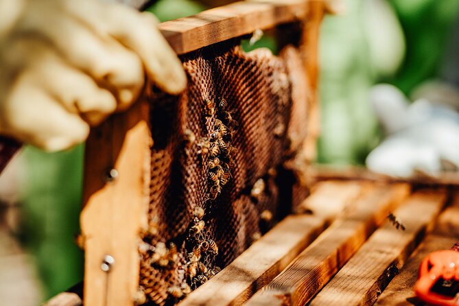 Aruba´s Bee Haven Private Adventure - Photos, water, and a simple way to end the tour