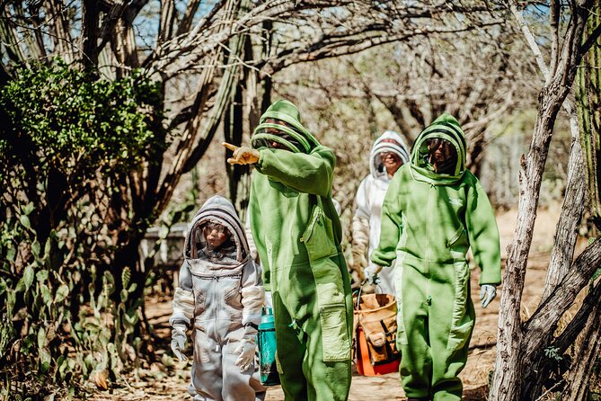 Aruba´s Bee Haven Private Adventure - Shopping time: buying hive products that actually make sense