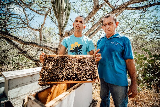 Aruba´s Bee Haven Private Adventure - The welcome talk and what you’ll actually learn