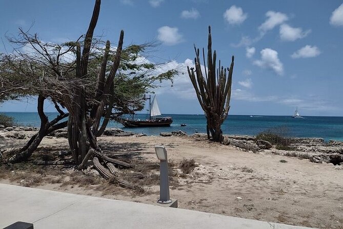 Best of Aruba Island Tours - Aruba Aloe Factory: the guided stop that adds real context