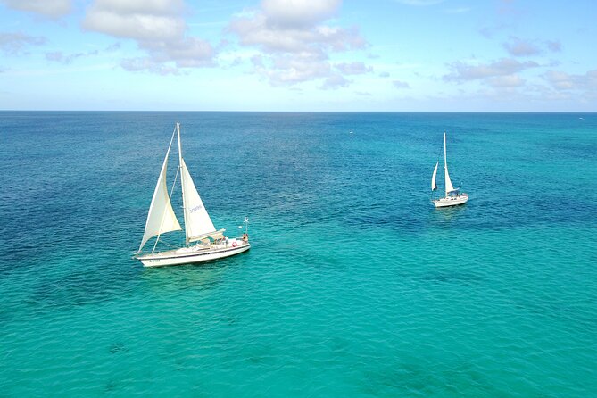 Blue Parrot Snorkel Sail with 4 course lunch or dinner in Aruba - Mangel Halto Reef snorkeling: where this trip earns its reputation