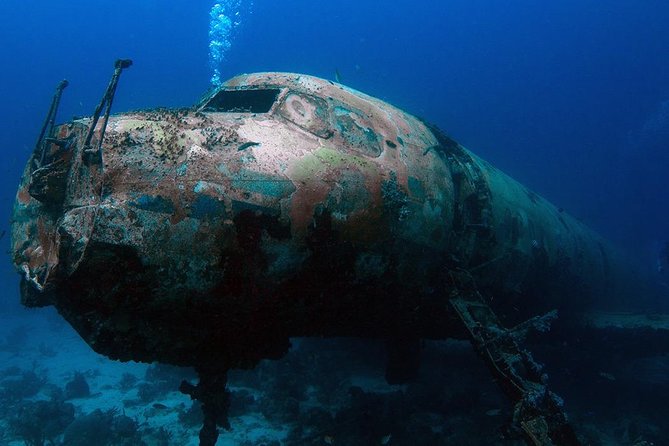 Boat Dive Shipwreck/ Airplanes/ Reef /2 tanks - Key Highlights at a Glance