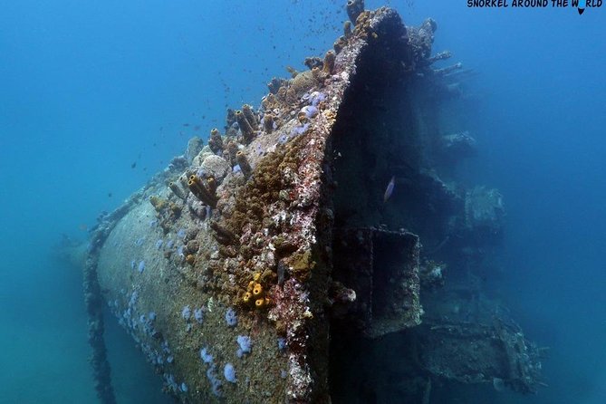 Boat Dive Shipwreck/ Airplanes/ Reef /2 tanks - What “2 Tanks” Means for Your Day (and Your Energy)