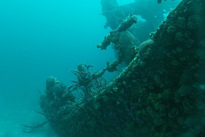 Boat Dive Shipwreck/ Airplanes/ Reef /2 tanks - Boat Trip Logistics That Actually Affect Comfort