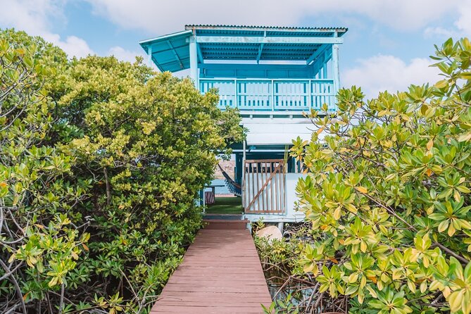 Custom Full‑Day Private Adventure: Snorkel & Explore Hidden Spots - Nos Isla reef island: mangroves, lazy-river vibes, and water play