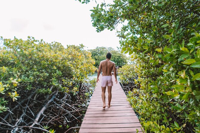 Custom Full‑Day Private Adventure: Snorkel & Explore Hidden Spots - Drinks and food: open bar + local BBQ or seafood platter