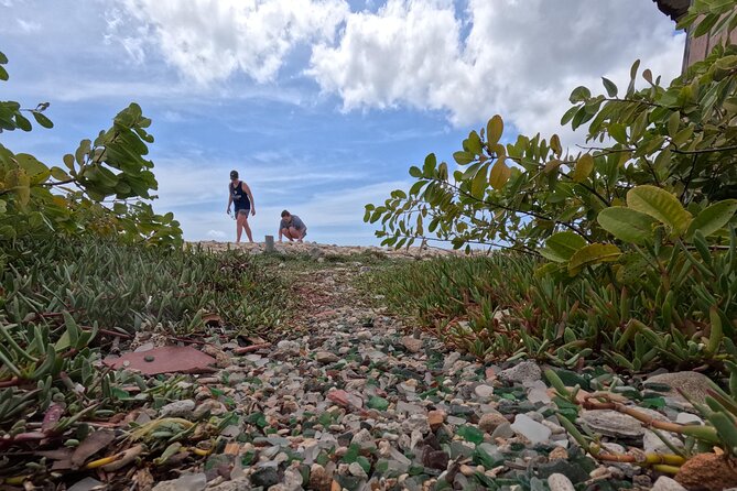 Discover Sea Glass Island: Aruba’s Must-Do Adventure - Price and value: what $105 buys (and what it doesn’t)
