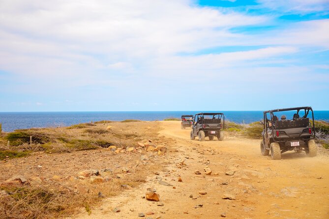 Exclusive Aruba UTV Rentals - How the self-guided Honda UTV day really works