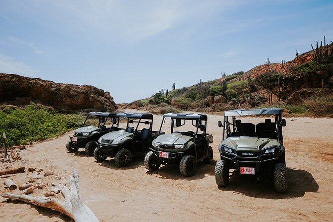 Exclusive Aruba UTV Rentals - The human touch: why the small operation is a big win