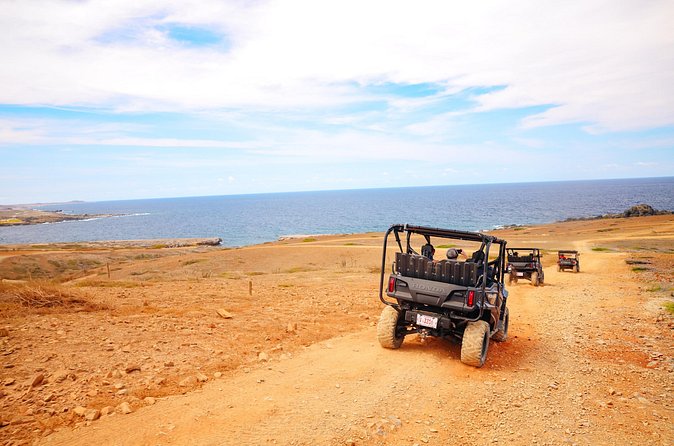 Exclusive Aruba UTV Rentals - Price and value: $310 per group up to 2, plus what else to budget