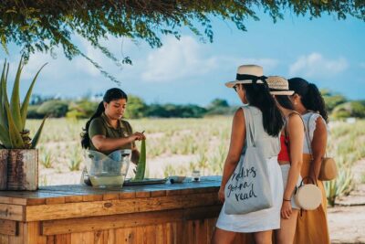Full-Day Aruba History and Must-See Landmarks Tour - Aruba Aloe Factory: Aloe Vera, Aruba-Style