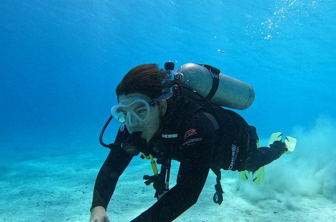 Guided Padi Discover Scuba Diving for Non-Certified Divers - What you’ll see under the surface: fish and a shipwreck moment