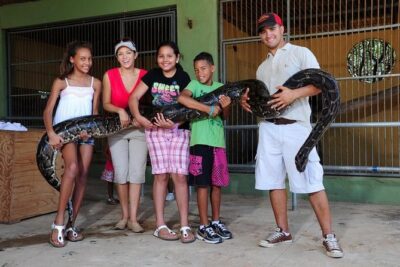Half-Day Aruba Animal Sanctuary Guided Tour - Pickup, timing, and the ride reality (AC isn’t guaranteed)