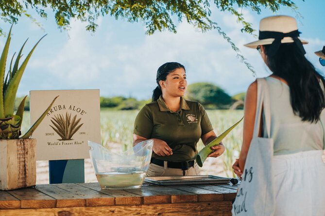 Half-Day Aruba Island Tour from Oranjestad - Key points that make this tour worth your time