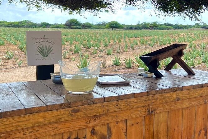 Half day Aruba Jeep Tours - Sightseeing and more - Oranjestad’s National Archaeological Museum: Where the Island’s People Come Forward