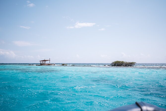Half‑Day Private Snorkel & Mangrove Experience — Local Host - Entering the clear water at Mangel Halto