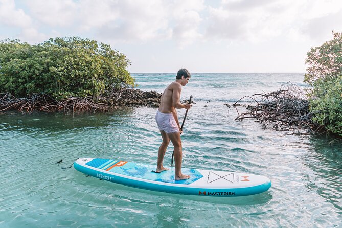 Half‑Day Private Snorkel & Mangrove Experience — Local Host - Lunch platter plus open bar: when food becomes part of the plan