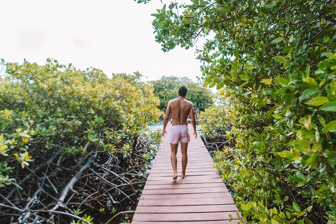 Half‑Day Private Snorkel & Mangrove Experience — Local Host - Who this experience fits best