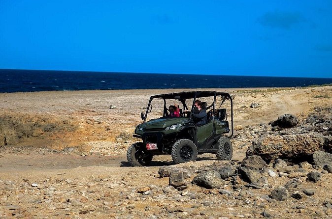 Half Day UTV Rentals - Vehicles, ride style, and the kind of day you’ll have