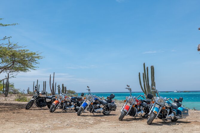 Harley-Davidson RENTALS ONLY 4 hrs - Key Takeaways Before You Rent