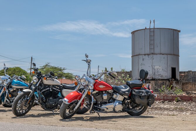 Harley-Davidson RENTALS ONLY 4 hrs - Why a 4-Hour Harley Rental Works So Well in Aruba