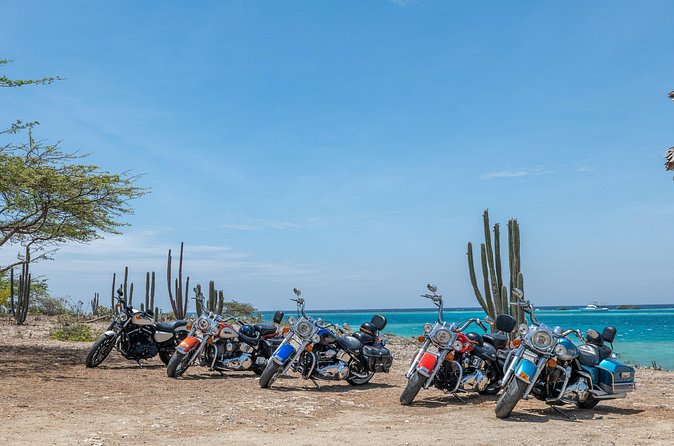 Harley-Davidson RENTALS ONLY 4 hrs - Pickup, Confirmation, and the Little Things That Make the Day Easier