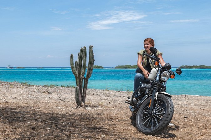 Harley-Davidson RENTALS ONLY 4 hrs - Who Should Book This Harley Rental (And Who Might Skip It)