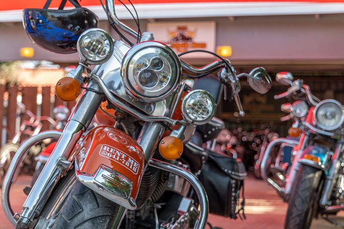 Harley-Davidson RENTALS ONLY 4 hrs - Choosing Your Harley: Road King, Heritage, Dyna, or Sporty
