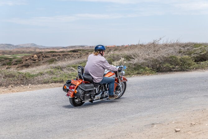 Harley-Davidson RENTALS ONLY 8 hrs - Picking the Right Harley: Road King, Heritage, Dyna, or Sporty