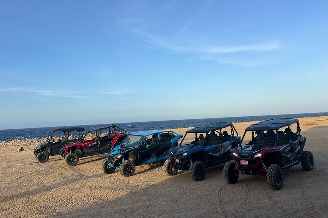 Honda Tallon 4 seat rental - Key Highlights You’ll Actually Care About