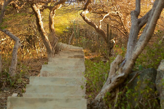 Hooiberg Hill Hike (Sunrise, Sunset, Night) - Why Hooiberg Hill Gives You a Different Aruba