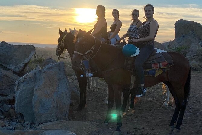 Horseback Riding 2 Hr SUNSET , Rock formation & North Coast Ride - Getting to the Ranch: Palm Beach Pickup and a Fast Start