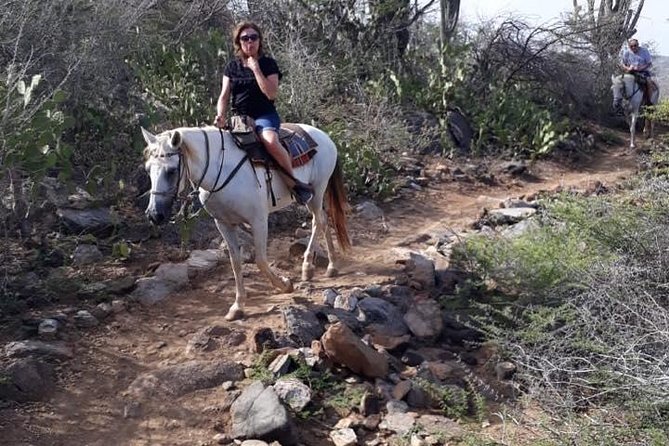 Horseback Riding 2 Hr SUNSET , Rock formation & North Coast Ride - Price Check: Is $145 Worth It for Aruba?