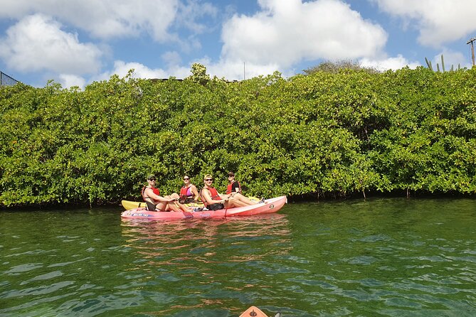Kayak Tour at Mangel Halto and Spanish Lagoon - Why this Aruba kayak route feels different than a beach day