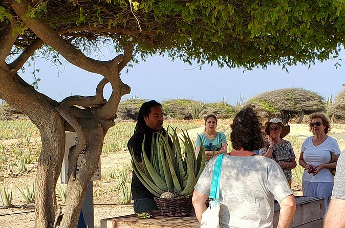 Made in Aruba Sightseeing Tour - Stop 3: TERRAFUSE Studio for glass, ceramics and sculptures