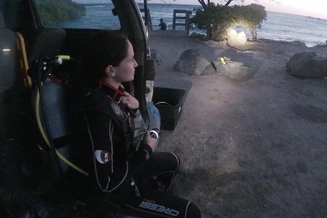 Night Shore Diving Mangel Halto Aruba for Certified Divers - Key highlights you’ll actually feel