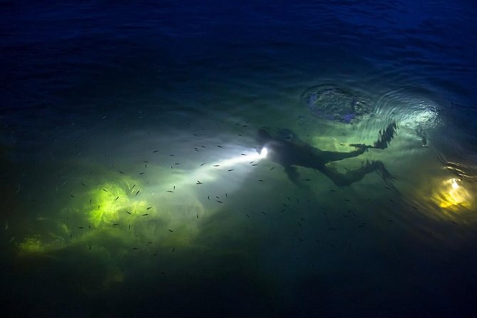 Night Shore Diving Mangel Halto Aruba for Certified Divers - Group size and instruction: small helps when the light drops