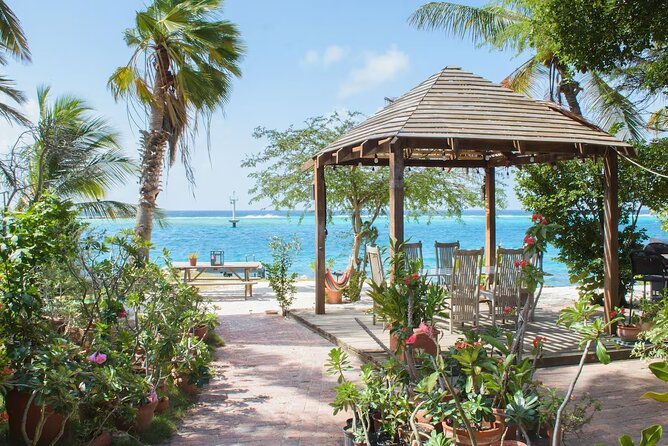 Oranjestad AUA Airport Transfer to Oranjestad/Noord/Cura Cabai - Arrival logistics: 60 minutes waiting at AUA changes your timing