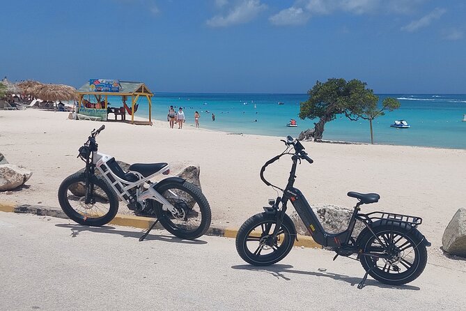 Oranjestad Culture Heritage and Coastal Electric Bike Experience - Paardenbaai and the Blue Horses by the Cruise Terminal Area