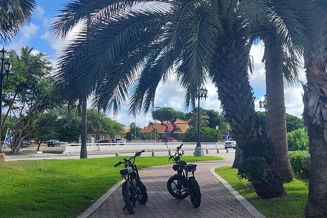Oranjestad Culture Heritage and Coastal Electric Bike Experience - The 15–30 Minute Shared Pit Stop: Use It Like a Pro