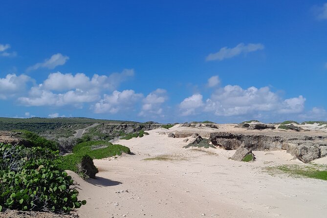 Private 4x4 Natural Pool, Caves & Baby Beach by Cross Aruba Tours - Arikok National Park visitors center: your quick reality check