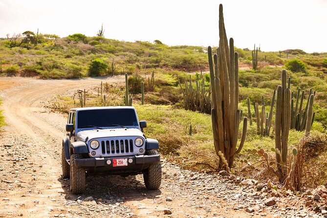Private and Customized Aruba 4X4 Jeep Adventure - Key Highlights You’ll Actually Feel on the Road