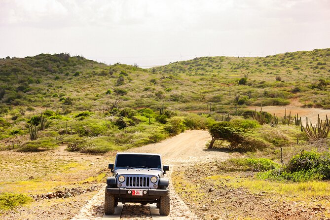 Private and Customized Aruba 4X4 Jeep Adventure - What You Get in the Jeep (and What You’ll Need to Plan)