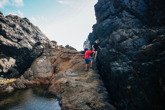 Private and Customized Aruba 4X4 Jeep Adventure - Price and Value: $500 Per Group for Up to 4