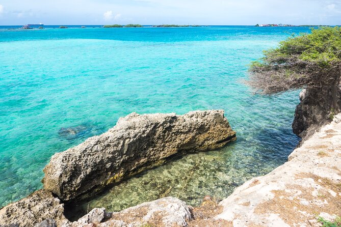 Private Aruba Beach Hop and Snorkel Experience - Price and Value: $480 for Up to 4 (Split It and It Makes Sense)