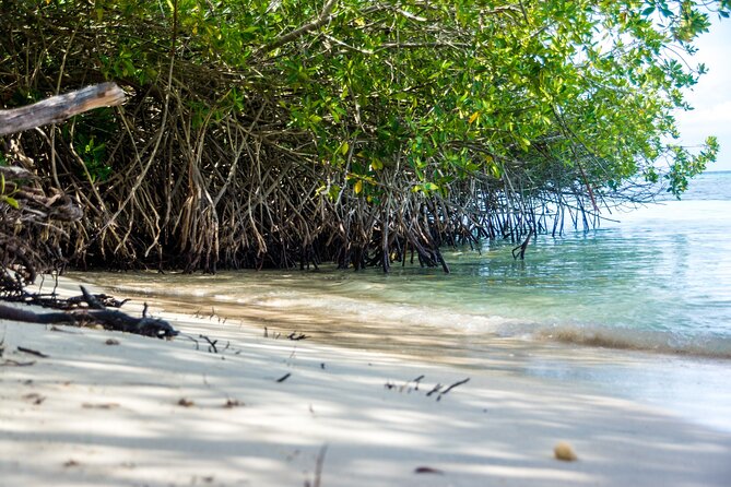 Private Aruba Beach Hop and Snorkel Experience - The Private Guide Factor: Why This Day Feels Less Stressful