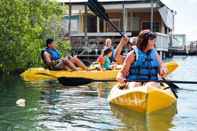 Private Aruba Kayak & Snorkeling Tour + Transortation - Pickup, Private Transportation, and the Mobile Ticket Ease