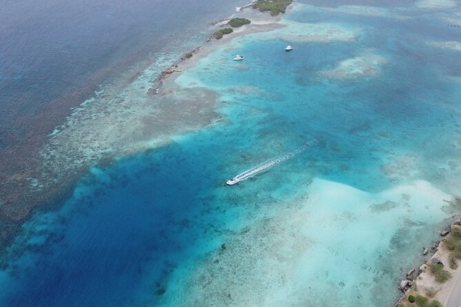 Private Aruba Kayak & Snorkeling Tour + Transortation - Stop 3: Spanish Lagoon Mangrove Kayak Time