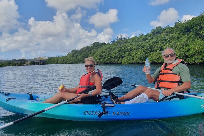 Private Aruba Kayak & Snorkeling Tour + Transortation - The Human Touch: Guides Make It Feel Personal